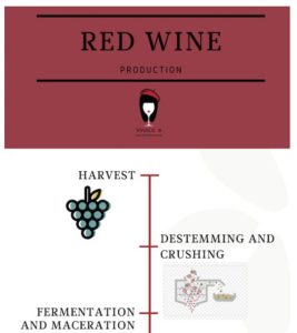 Red wine making chart