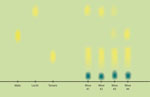 Chromotagraphy Result Sheet