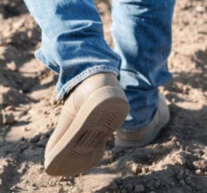 Boots in the Vineyard