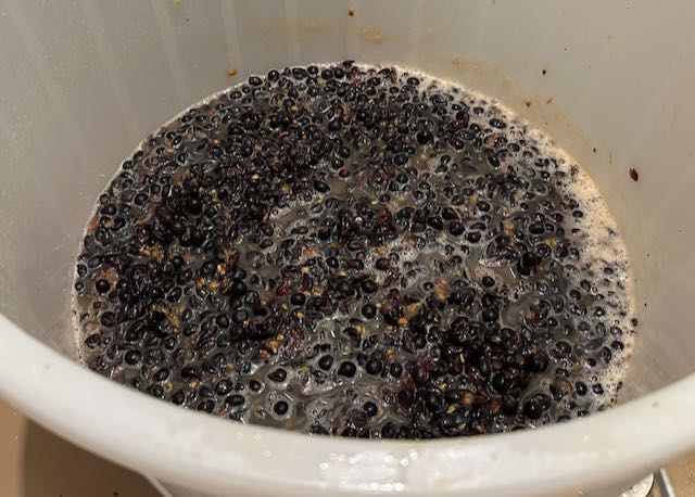 Pressed Pinot Noir