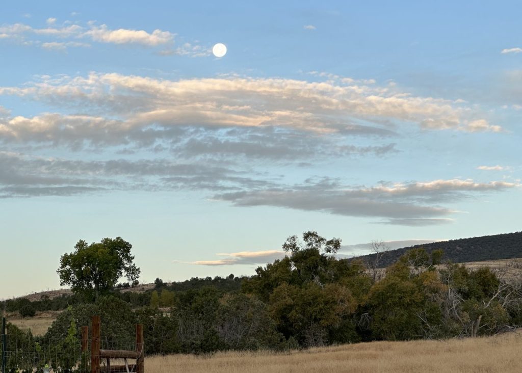 Morning Moon