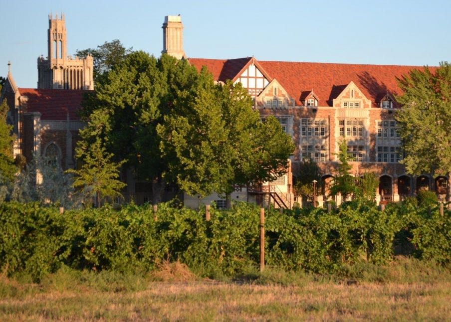 Winery at Holy Cross Abbey