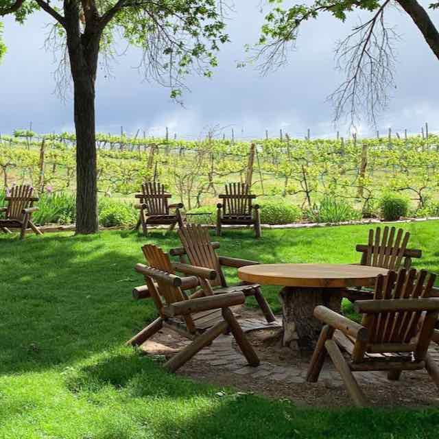 Carlson Vineyard Backyard