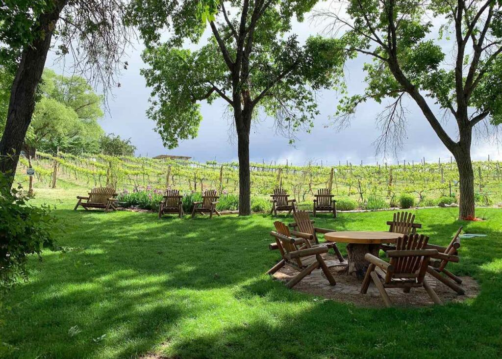 Uncorking Colorado's Wine Country - Carlson Vineyard Backyard Seating Area