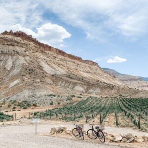 Uncorking Colorado's Wine Country - Palisade