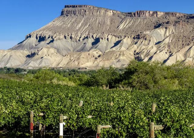 Bookcliffs in Palisade